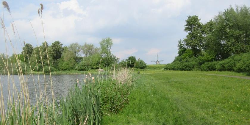 Bericht Hoger pad langs Bleiswijkse Zoom beperkt instroom van voedselrijk water bekijken